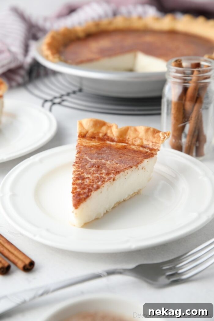 Homemade Sugar Cream Pie Recipe Video 2 A perfectly sliced piece of Sugar Cream Pie, showcasing its creamy filling and golden-brown spiced topping, resting on a white plate, ready to be enjoyed.