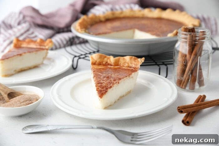 Homemade Sugar Cream Pie Recipe Video 8 A pristine slice of Sugar Cream Pie served on a plate, highlighting its smooth texture and a hint of the spiced topping.