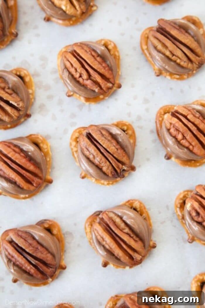 Close-up of Pretzel Turtles.