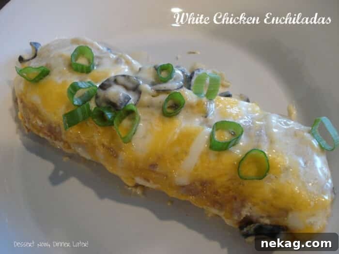 Creamy Chicken Enchiladas 2 Close-up of freshly baked White Chicken Enchiladas in a baking dish, garnished with green onions.