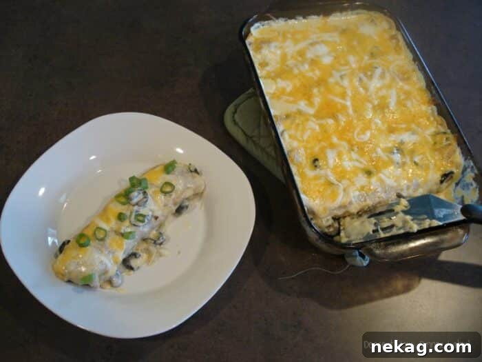 Creamy Chicken Enchiladas 3 Overhead shot of individual White Chicken Enchiladas, showcasing the creamy sauce and golden-brown cheese.