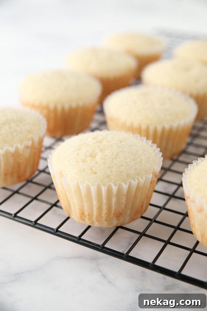 Perfectly Fluffy White Cupcakes 4 Freshly baked white cupcakes cooling on a wire rack, ready for frosting.