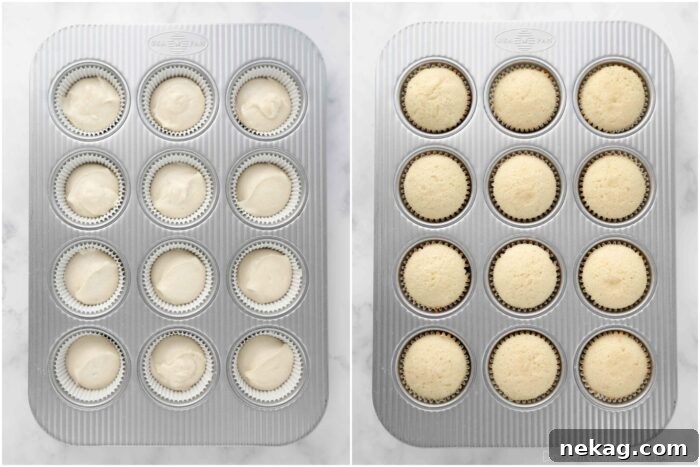 Perfectly Fluffy White Cupcakes 8 A cupcake pan showing white cupcakes both before and after baking, nestled in their paper liners.
