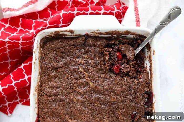 Baked chocolate cherry cobbler in baking dish with a serving spoon.