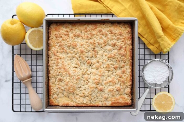 Zesty Lemon Coffee Cake 9 A close-up shot of the golden-brown, textured crumb topping on a freshly baked Lemon Coffee Cake, highlighting its delicious appearance.
