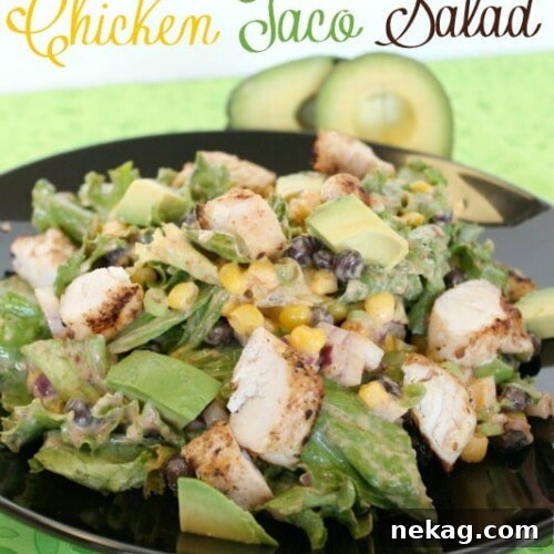 Chipotle Chicken Taco Salad ready to be served