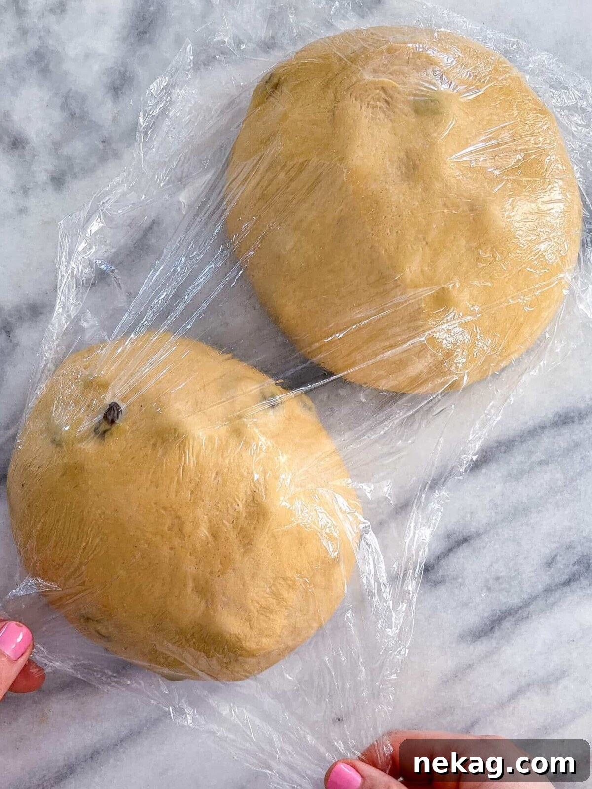 Old Fashioned Raisin Bread Dough shaped on marble.