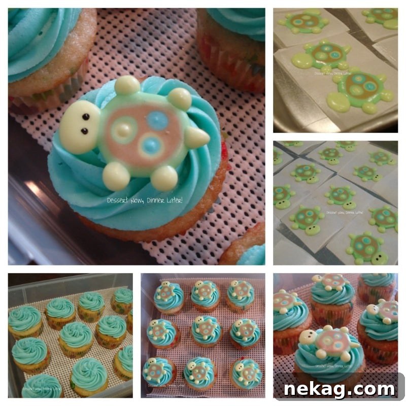 Junebug Birthday Bliss Marshmallow Fondant 2 Delightful Royal Icing Turtle Cupcakes for a Child's Birthday