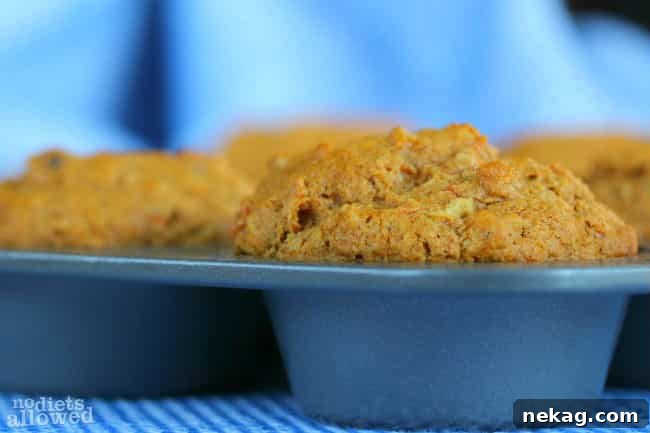 Sunrise Harvest Muffins 3 A close-up of a Morning Glory Muffin, showing off its rich texture and colorful bits of carrot and apple.