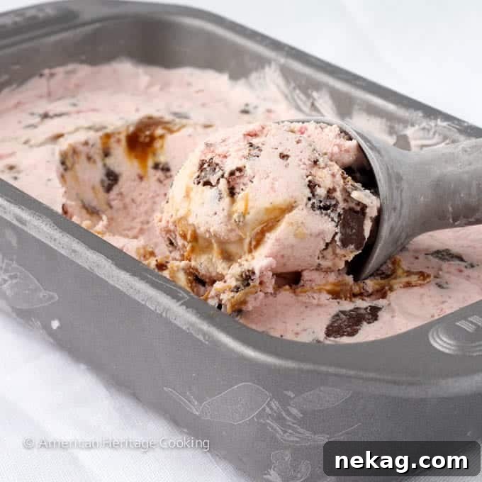 Strawberry Caramel Swirl Chocolate Cookie Delight 2 Strawberry Caramel Swirl Chocolate Cookie Ice Cream