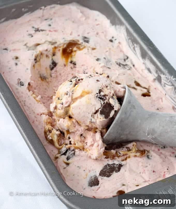 Strawberry Caramel Swirl Chocolate Cookie Delight 3 Strawberry Caramel Swirl Chocolate Cookie Ice Cream