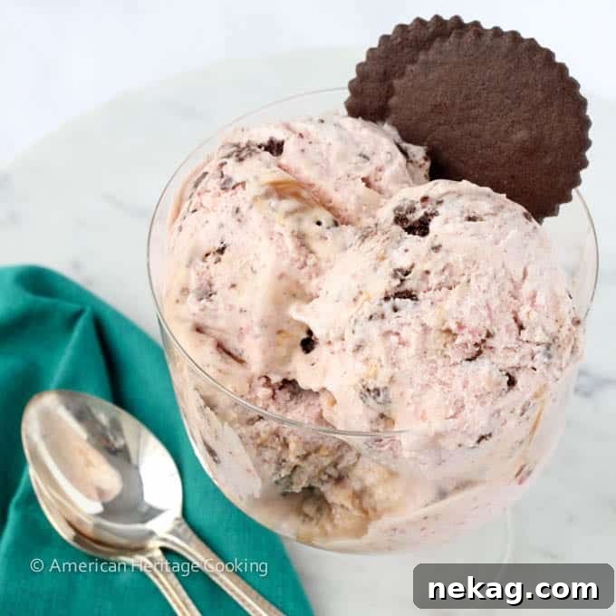 Strawberry Caramel Swirl Chocolate Cookie Delight 4 Strawberry Caramel Swirl Chocolate Cookie Ice Cream