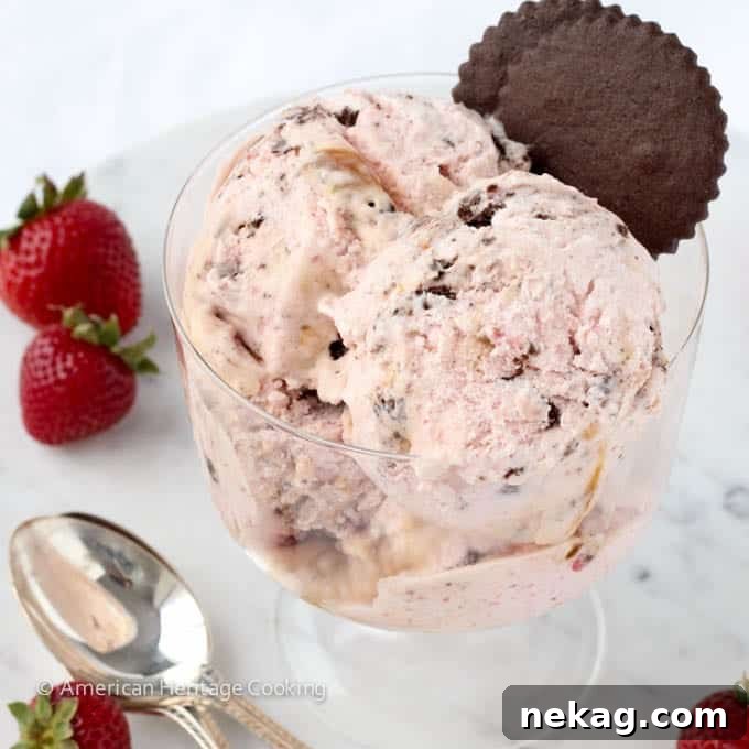 Strawberry Caramel Swirl Chocolate Cookie Delight 5 Strawberry Caramel Swirl Chocolate Cookie Ice Cream