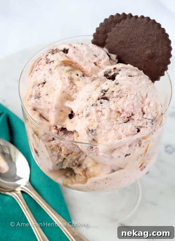Strawberry Caramel Swirl Chocolate Cookie Delight 8 Strawberry Caramel Swirl Chocolate Cookie Ice Cream