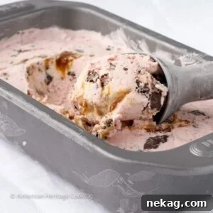Strawberry Caramel Swirl Chocolate Cookie Delight 9 Strawberry Caramel Swirl Chocolate Cookie Ice Cream
