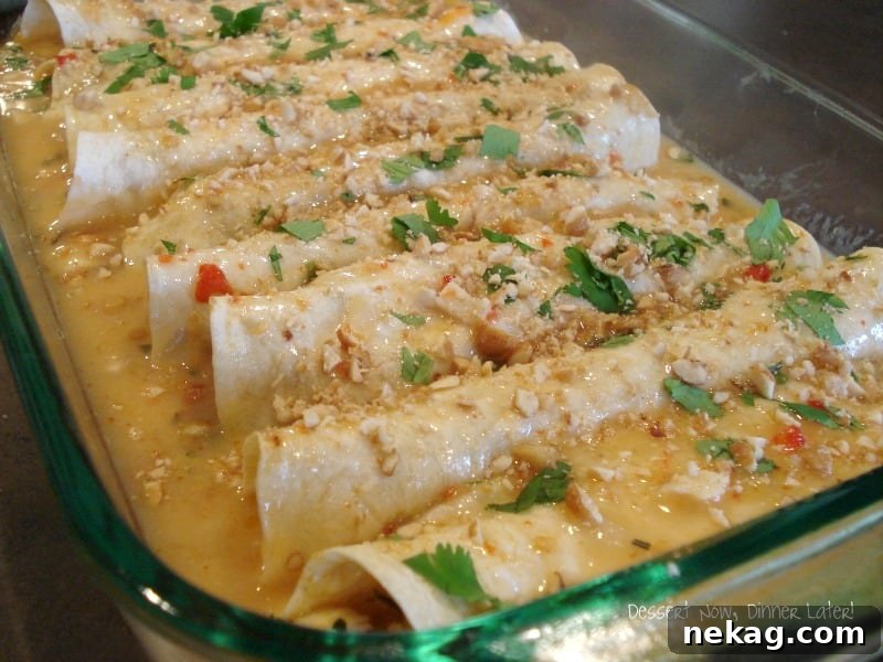 Siam Sunset Chicken Enchiladas 3 Homemade Thai Chicken Enchiladas with creamy peanut sauce