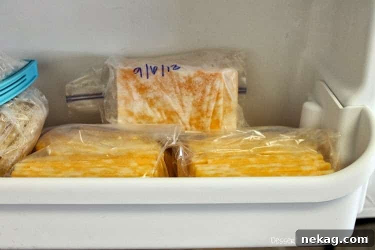 Packaged slices of cheese in a sandwich bag, prepared for freezer storage, showcasing simple and effective method