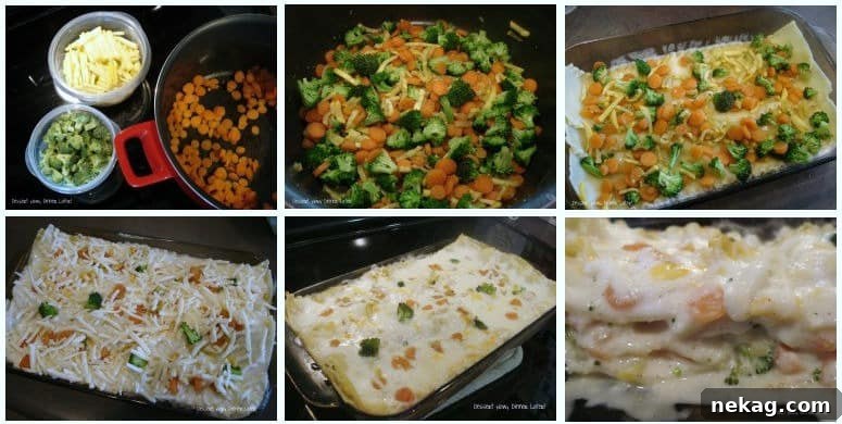Garden Fresh Lasagna 3 Layers of Vegetable Lasagna
