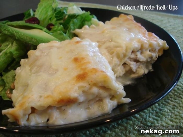 Creamy Chicken Alfredo Rolls 2 Delicious Chicken Alfredo Roll-ups, a perfect family dinner