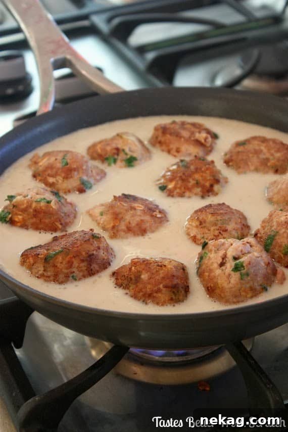 Plated Thai Green Curry Turkey Meatballs with brown rice and fresh cilantro