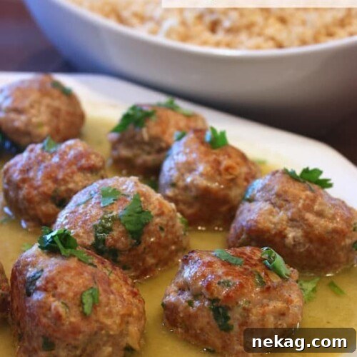 Thai Green Curry Turkey Meatballs served with rice