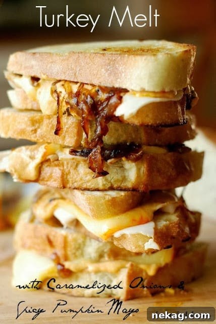 Turkey Melt with Caramelized Onions and Spicy Pumpkin Mayo