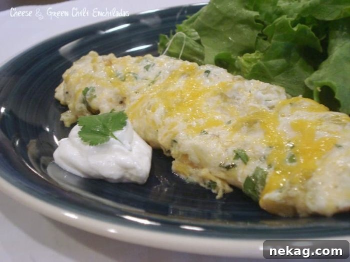 Delicious Cheese and Green Chili Enchiladas served fresh