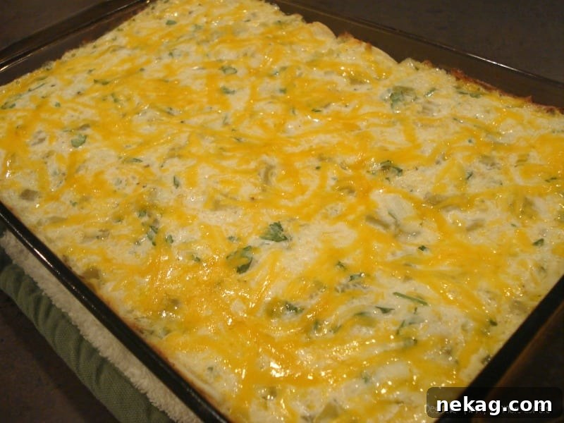 Close-up of baked Cheese and Green Chili Enchiladas with golden cheese
