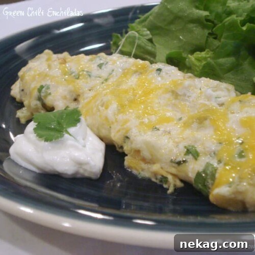 Finished Cheese & Green Chili Enchiladas ready to serve