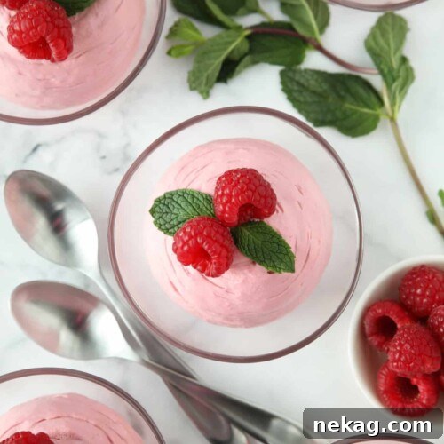Velvety Raspberry Cloud 9 Top view of Raspberry Mousse in a small clear bowls with fresh raspberries and mint on top.