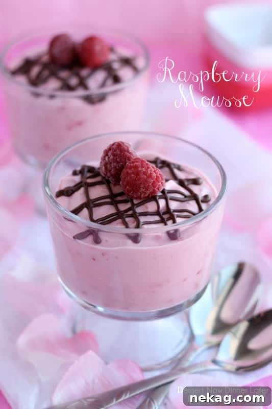 Velvety Raspberry Cloud 10 Close-up of a single serving of Raspberry Mousse, showing its smooth texture and vibrant color.