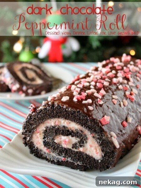 Velvet Chocolate Roulade 12 img 415 13