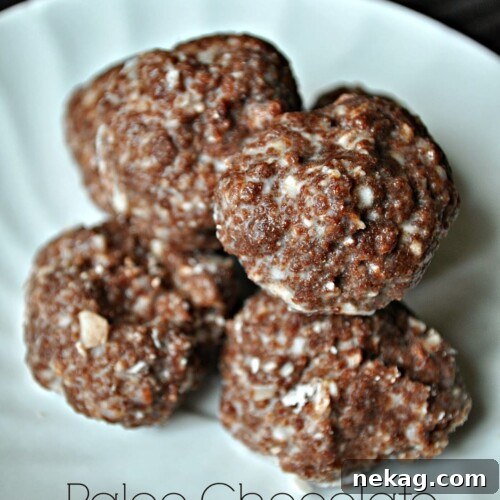 Paleo Chocolate Coconut Macaroons recipe