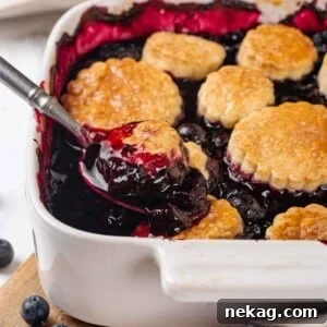 A shiny blueberry cobbler filling peeking from beneath a golden shortcake topping on a spoon, ready to be devoured.