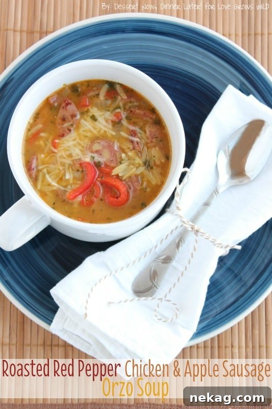 Rustic Roasted Red Pepper Chicken and Apple Sausage Orzo Soup 2 Hearty Roasted Red Pepper Chicken & Apple Sausage Orzo Soup in a bowl