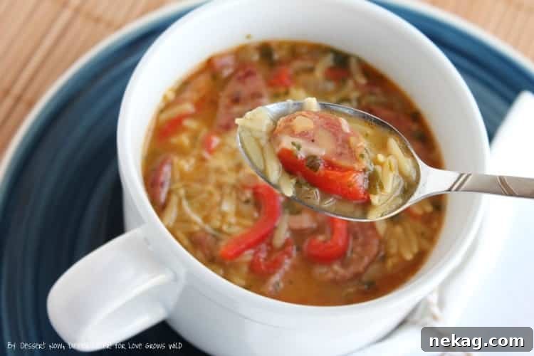 Rustic Roasted Red Pepper Chicken and Apple Sausage Orzo Soup 3 Close up of Roasted Red Pepper Chicken & Apple Sausage Orzo Soup