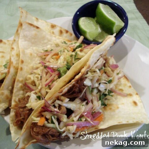 Shredded Pork Wonton Tacos