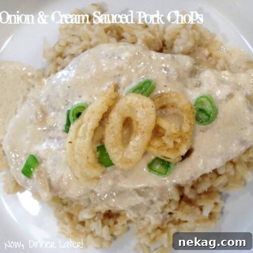 Onion and Cream Sauced Pork Chops
