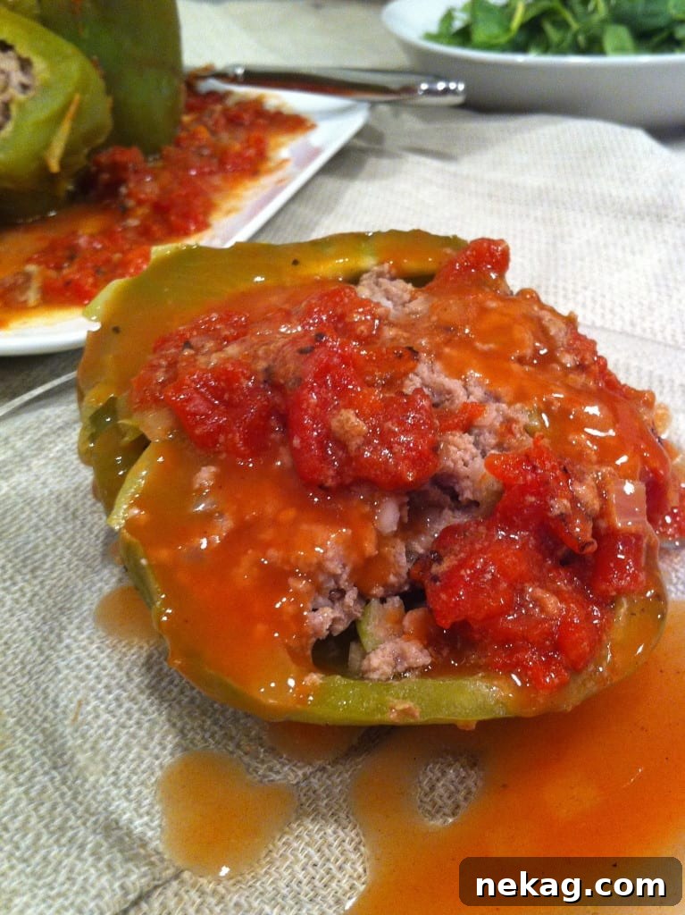 Bayou Stuffed Peppers with Zesty Tomato 2 Creole Stuffed Peppers with a vibrant tomato sauce, ready to be served.