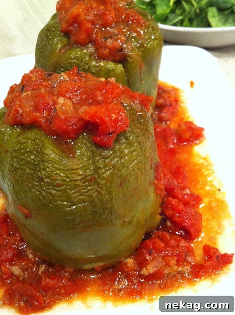 Bayou Stuffed Peppers with Zesty Tomato 3 Creole Stuffed Peppers baking in a dish, surrounded by a rich tomato sauce.