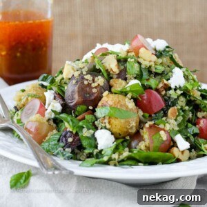 Vibrant Roasted Vegetable & Quinoa Chop 4 Prepared Quinoa Roasted Vegetable Chopped Salad with dressing on top.