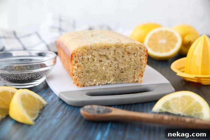 Zesty Lemon Poppy Seed Loaf 3 Moist, velvety Lemon Poppy Seed Bread with vibrant lemon flavor.