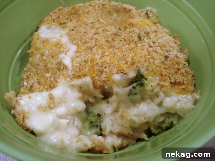 Divine Chicken Broccoli Bake 2 Creamy Chicken Divan casserole with broccoli and rice, a comforting family dinner