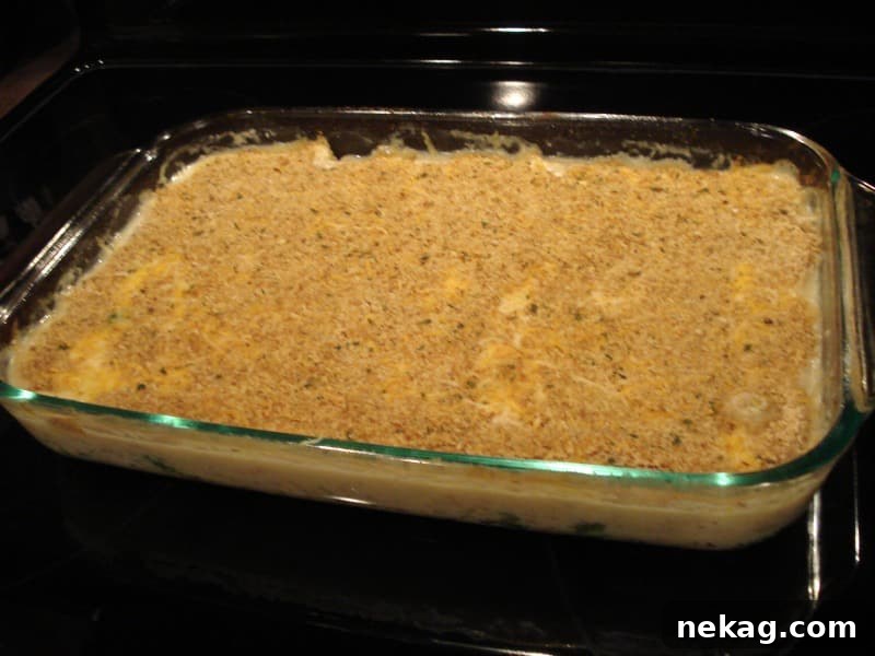 Divine Chicken Broccoli Bake 3 Close-up of baked Chicken Divan casserole, golden brown and bubbly, ready to serve