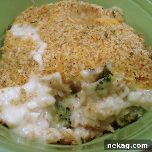 Chicken Divan, a classic casserole with tender chicken, broccoli, and creamy sauce, topped with crunchy breadcrumbs.