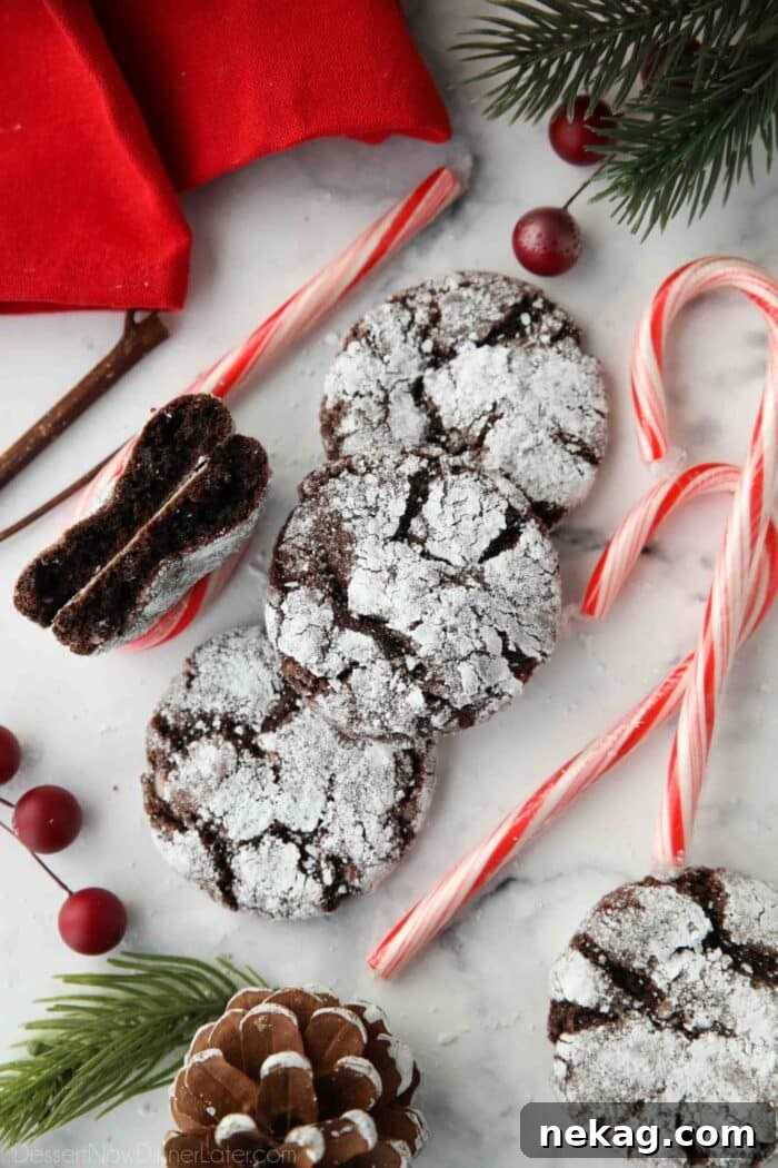 Cool Mint Chocolate Crinkle Cookies 4 Close up of chocolate crinkle cookies with peppermint candy canes.