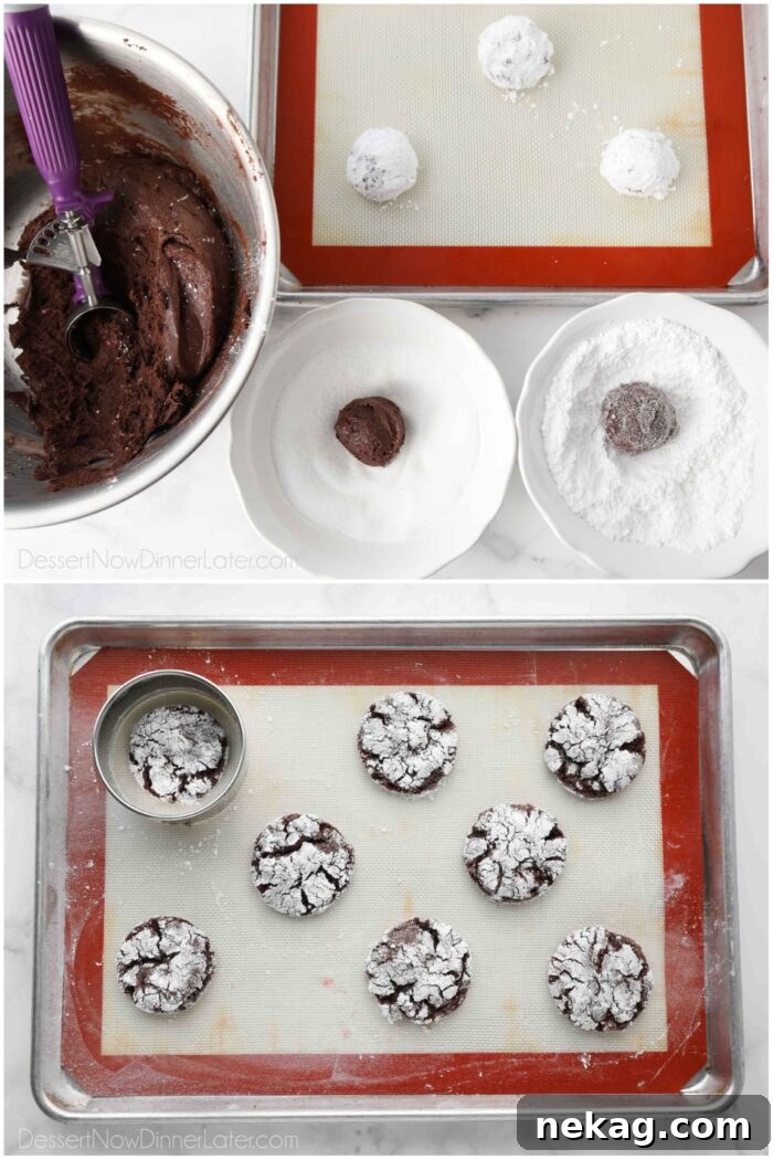 Cool Mint Chocolate Crinkle Cookies 7 Scooping and coating the chocolate peppermint crinkle cookie dough.