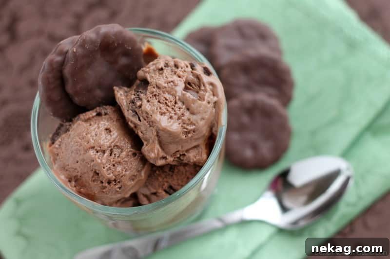Emerald Mint Chocolate Delight 2 Close-up of chocolate thin mint ice cream with cookie chunks