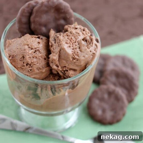 Emerald Mint Chocolate Delight 4 Chocolate Thin Mint Ice Cream