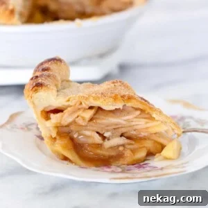A beautiful slice of Cinnamon Apple Pie on a plate with delicate floral details, emphasizing its homemade appeal.